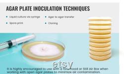Olympus Myco Malt Yeast Extract Agar Plates Set of 10 Ideal for Mycology and Genetic Isolation