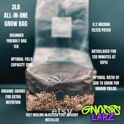 One Dozen All in One Mushroom Grow Kit Bags (5lbs) with Injection Port and Filter Patch