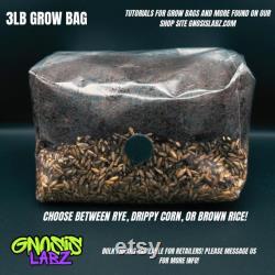 One Dozen All in One Mushroom Grow Kit Bags (5lbs) with Injection Port and Filter Patch