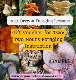 Oregon Mushroom Foraging Lessons Learn how to successfully forage safely and sustainably.
