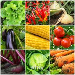 Organic Tomato and Vegetable Plant Food Granular 8-4-8 Fertilizer