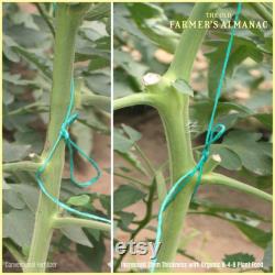 Organic Tomato and Vegetable Plant Food Granular 8-4-8 Fertilizer