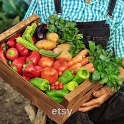 Organic Tomato and Vegetable Plant Food Granular 8-4-8 Fertilizer