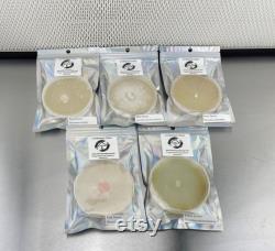 Oyster Mushroom Cultures on Agar Plates(Commercial Pack, 5 Plates) Pink Oyster, Yellow Oyster, Blue Oyster, King Oyster, and Pearl Oyster