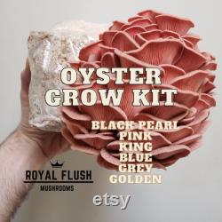 Oyster Mushroom Grow Kit Great Gift