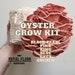 Oyster Mushroom Grow Kit Great Gift