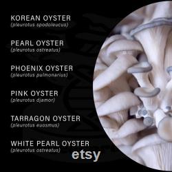 Oyster Mushroom Liquid Cultures, Free Shipping on orders over 35 dollars Choose from over 15 varieties