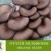 Oyster Mushroom Organic Seeds, 50 Count Pleurotus Ostreatus Seeds, Plant Seeds For Garden And Pot, Non-gmo Heirloom, Open Pollination