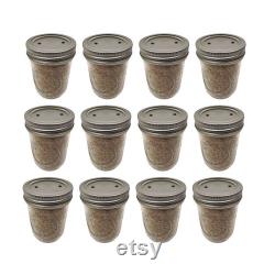 PF Tek Mushroom Substrate Jars BRF Tek, Brown Rice Flour Cakes, mushroom growing media