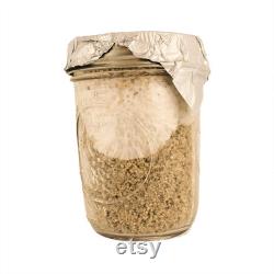 PF Tek Mushroom Substrate Jars BRF Tek, Brown Rice Flour Cakes, mushroom growing media