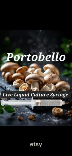 PORTOBELLO Mushroom Liquid Culture Syringe