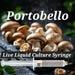 Portobello Mushroom Liquid Culture Syringe