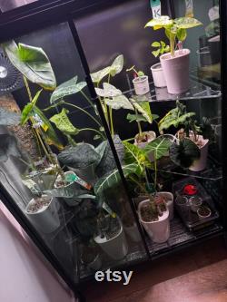 P ki akrylowe do szafki Rudsta