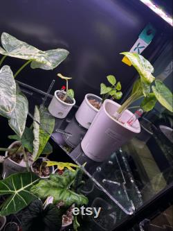 P ki akrylowe do szafki Rudsta