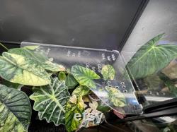 P ki akrylowe do szafki Rudsta