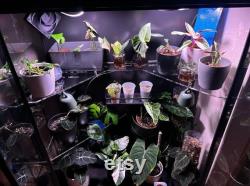 P ki akrylowe do szafki Rudsta