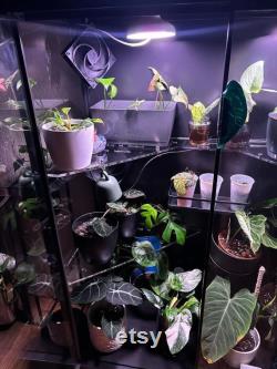 P ki akrylowe do szafki Rudsta