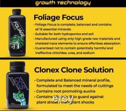 Pack of 2 GT Foliage Focus 1L premium plant food for foliage and aroids