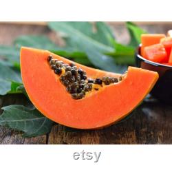 Papaya Tree Organic Seeds, 10 Count Papaya Tree Seed, Papaya Plant Seeds for Pot and Garden, Non-GMO Heirloom, Open Pollination