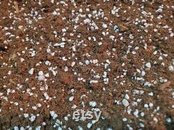 Peat Moss and Perlite 1 to 1 Ratio FREE SHIPPING