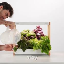 Personal Rise Garden Hydroponic System