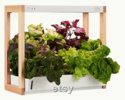 Personal Rise Garden Hydroponic System