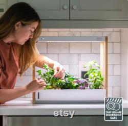 Personal Rise Garden Hydroponic System