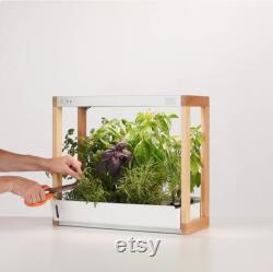 Personal Rise Garden Hydroponic System