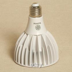 Pianta Grow Light and Adjustable Floor Lamp