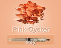 Pink Oyster Mushroom Liquid Culture