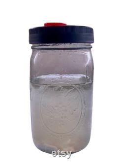 Pint Liquid Culture Jars, LME Peptones with Magnetic Stir Bar, Sterilized for Mushroom Growing, 4 Pack 300ml each
