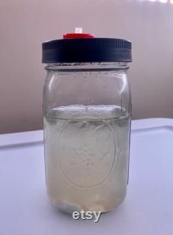 Pint Liquid Culture Jars, LME Peptones with Magnetic Stir Bar, Sterilized for Mushroom Growing, 4 Pack 300ml each