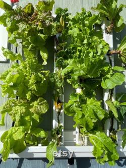 PlantTrax V-4 Base System, Wall Mounted Vertical Hydroponic Planter System