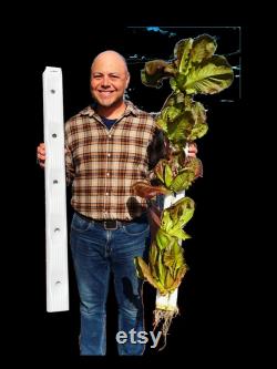 PlantTrax V-4 Expansion, Wall Mounted Vertical Hydroponic Planter System