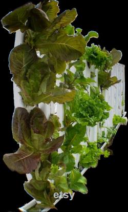 PlantTrax V-4 Expansion, Wall Mounted Vertical Hydroponic Planter System