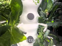 Pod Cap Plant Spacer by JayBeeFarms Compatible with Farmstand Nook