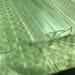 Polycarbonate Greenhouse Panels (u Connectors 10mm-2ft)