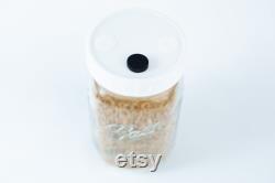 Pre-Sterilized Grain Jars 1 L, Set of 6 Millet Organic Rye Reusable