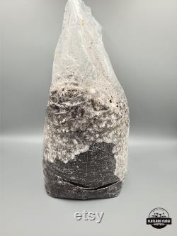 Pre-Sterilized Mushroom Substrate CVG Mixture Nutrient Optimized For Fungal Growth at Home