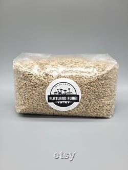 Pre-Sterilized Rye Mushroom Grain Spawn Injection Port Grow Mushrooms at Home
