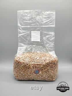Pre-Sterilized Rye Mushroom Grain Spawn Injection Port Grow Mushrooms at Home