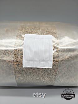 Pre-Sterilized Rye Mushroom Grain Spawn Injection Port Grow Mushrooms at Home