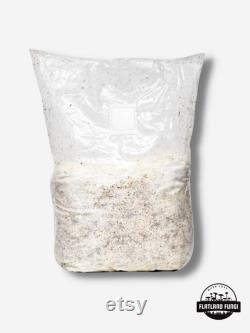 Pre-Sterilized Rye Mushroom Grain Spawn Injection Port Grow Mushrooms at Home