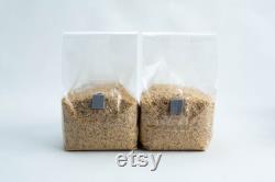 Pre-sterilised MILLET mushroom grain bag withinj port and digital instructions Millet Grain Spawn