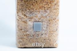 Pre-sterilised MILLET mushroom grain bag withinj port and digital instructions Millet Grain Spawn