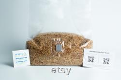 Pre-sterilised MILLET mushroom grain bag withinj port and digital instructions Millet Grain Spawn