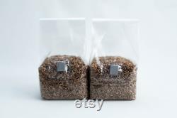 Pre-sterilised RYE mushroom grain bag withinj port and digital instructions Rye Grain Spawn