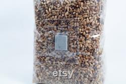 Pre-sterilised RYE mushroom grain bag withinj port and digital instructions Rye Grain Spawn