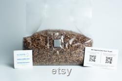 Pre-sterilised RYE mushroom grain bag withinj port and digital instructions Rye Grain Spawn