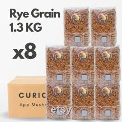 Pre-sterilized Rye Grain Spawn Mushroom Grow Bag 1.3kg